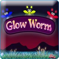 Glow Worm