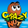 Crazy Nut