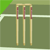 NPower Cricket