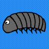 Pillbug Run