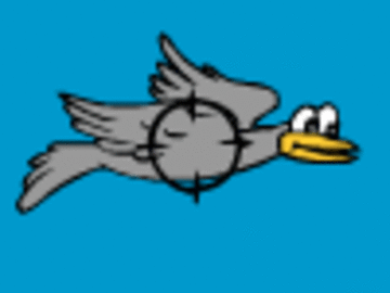 Bird Hunting
