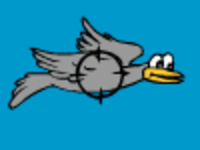 Bird Hunting